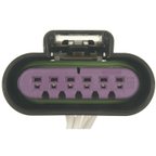 Standard Ignition S-1479 Rear Light Harness Connector - view 4