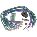 Standard Ignition S-1760 HVAC Blower Control Switch Connector - view 1