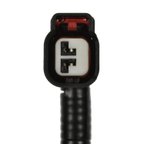 Standard Ignition S-1829 Vapor Canister Vent Solenoid Harness - view 2