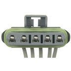 Standard Ignition S-2018 Tail Light Circuit Board Connector - view 4
