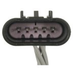 Standard Ignition S-2066 Rear Light Harness Connector - view 3