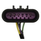 Standard Ignition S2286 Tail Light Socket - view 4