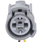Standard Ignition S2543 Engine Variable Valve Timing (VVT) Solenoid Connector - view 2