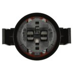 Standard Ignition S2551 Combination Light Socket - Rear - view 2