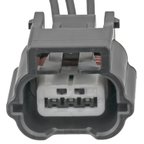 Standard Ignition S2844 Fuel Pressure Sensor Connector - Rear - view 2
