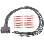 Standard Ignition S3146 Blind Spot Detection Sensor Connector - Left or Rear Right - view 1