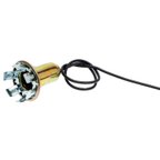 Standard Ignition S-45N Back Up Light Socket - view 1