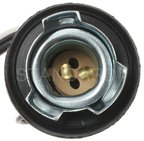 Standard Ignition S-505 Parking Light Bulb Socket - Front or Rear - view 5