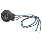 Standard Ignition S-585 Tail Light Connector - Front or Rear - view 1