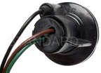 Standard Ignition S-59 Parking Light Bulb Socket - view 4