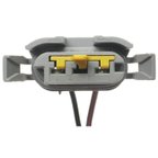 Standard Ignition S-681 Side Marker Light Socket Connector - view 3