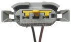 Standard Ignition S-681 Side Marker Light Socket Connector - view 4