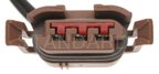 Standard Ignition S-694 Side Marker Light Socket Connector - view 4