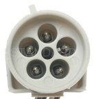 Standard Ignition S-736 Tail Light Connector - view 4