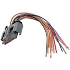 Standard Ignition S-744 Ignition Control Module Connector - view 1
