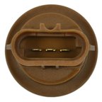 Standard Ignition S-808 Parking Light Bulb Socket - Front or Left - view 5