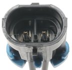 Standard Ignition S-811 EGR Valve Control Solenoid Connector - view 4