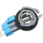 Standard Ignition S-868 Parking Light Bulb Socket - view 4