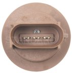 Standard Ignition S-874 Parking Light Bulb Socket - Front, Rear or Right - view 4