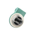 Standard Ignition S-877 Parking Light Bulb Socket - Rear - view 2