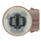 Standard Ignition S-890 Tail Light Socket - Front or Rear - view 2