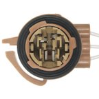 Standard Ignition S-919 Parking Light Bulb Socket - Front - view 4