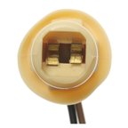 Standard Ignition S-97 Parking Light Bulb Socket - Front or Rear - view 3