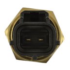 Standard Ignition TS655 Fuel Injection Thermal / Time Switch - view 4