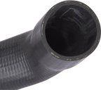 Spectra FNH065 Fuel Filler Hose - view 2