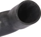 Spectra FNH068 Fuel Filler Hose - view 2