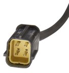 Spectra OS5183 Oxygen Sensor - Downstream - view 3