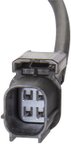 Spectra OS5558 Oxygen Sensor - Downstream Front - view 3