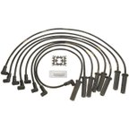 Blue Streak 10001 Spark Plug Wire Set - view 1