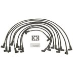 Blue Streak 10018 Spark Plug Wire Set - view 1