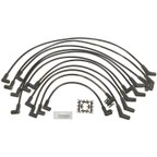 Blue Streak 10019 Spark Plug Wire Set - view 1