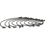 Blue Streak 10021 Spark Plug Wire Set - view 4
