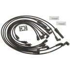 Blue Streak 10043 Spark Plug Wire Set - view 1
