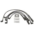 Blue Streak 10061 Spark Plug Wire Set - view 1