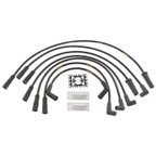Blue Streak 10077 Spark Plug Wire Set - view 1