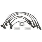 Blue Streak 10085 Spark Plug Wire Set - view 1
