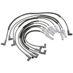 Standard Ignition 7876 Spark Plug Wire Set - view 1