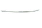 TechPro FO1047100 Bumper Cover Molding - Front Right - view 1