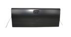TechPro FO1901102 Tailgate - Rear - view 1