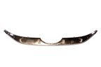 TechPro HY1210104C Grille Molding - view 2