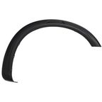 TechPro NI1291110C Wheel Arch Molding - Front Right - view 1