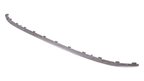 TechPro VW1144110C Bumper Cover Molding - Rear - view 1