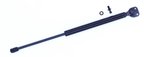 Tuff Support 612893 Liftgate Lift Support - view 1