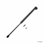 Tuff Support 612893 Liftgate Lift Support - view 2