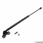 Tuff Support 613030 Hood Lift Support - view 2