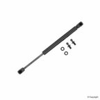 Tuff Support 613393 Liftgate Lift Support - view 2